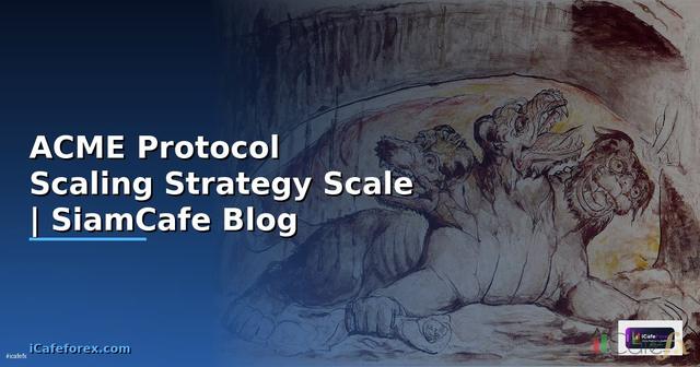 ACME Protocol Scaling Strategy วิธี Scale