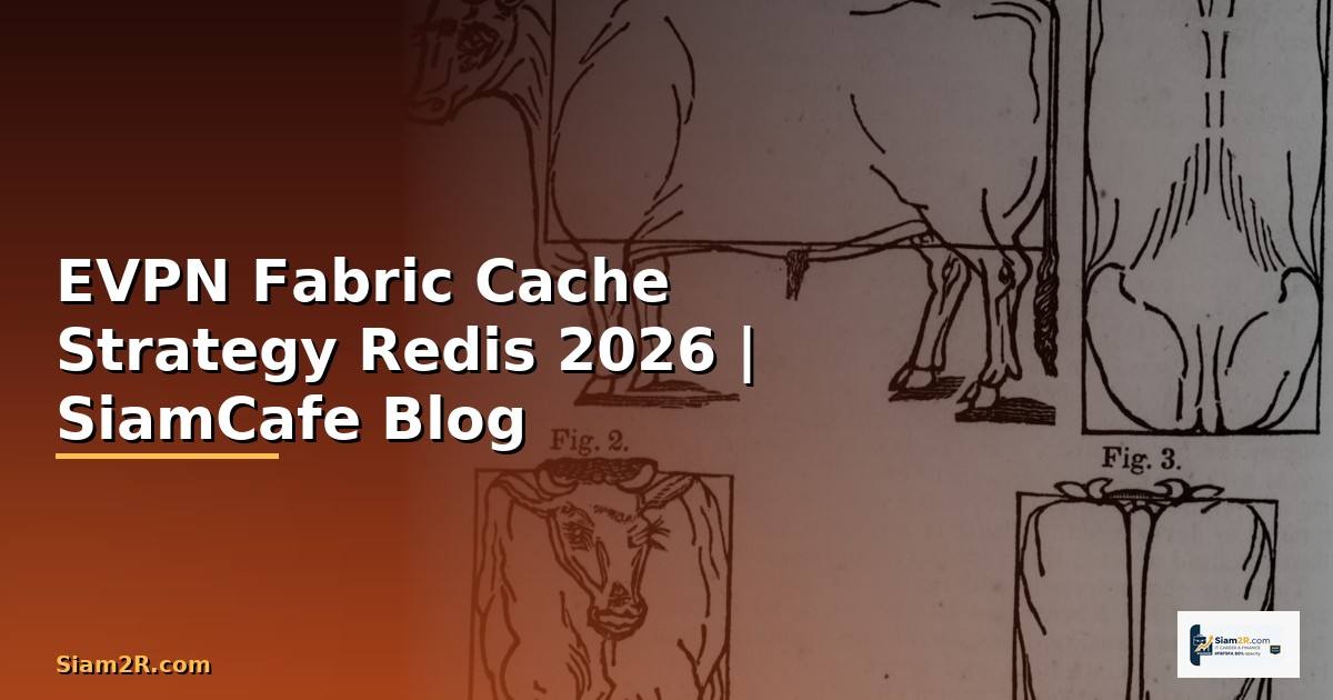EVPN Fabric Cache Strategy Redis — คู่มือฉบับสมบูรณ์ 2026