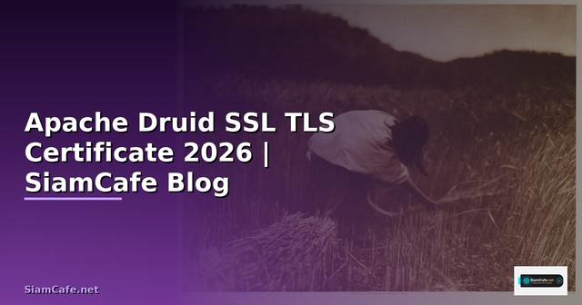 Apache Druid SSL TLS Certificate