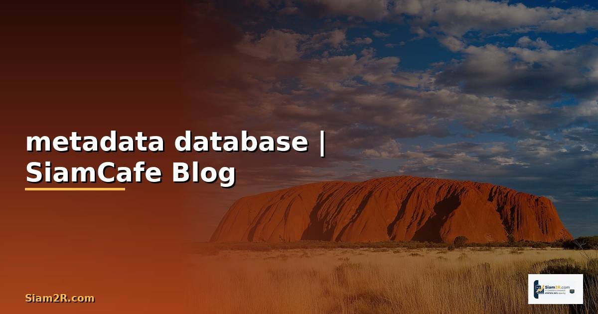 metadata คือ database