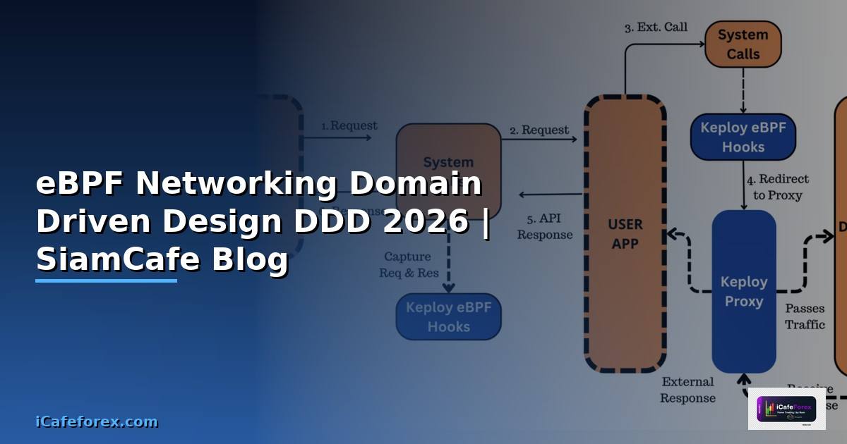 eBPF Networking Domain Driven Design DDD