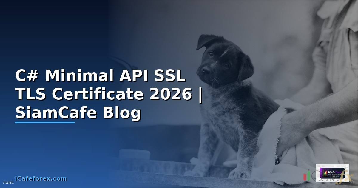 C# Minimal API SSL TLS Certificate