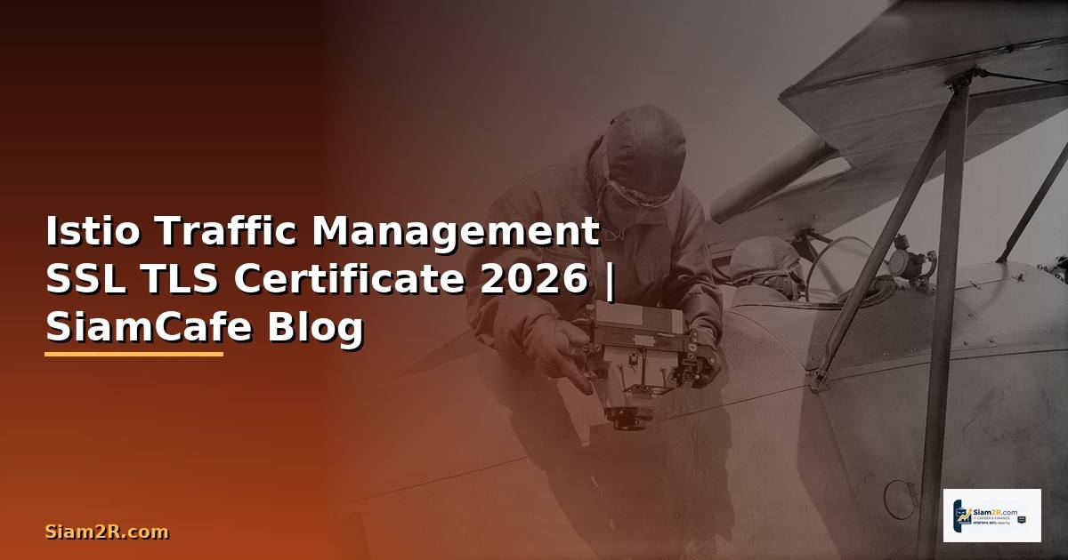 Istio Traffic Management SSL TLS Certificate