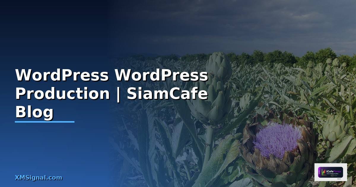 WordPress คืออะไร — ติดตั้งและตั้งค่า WordPress