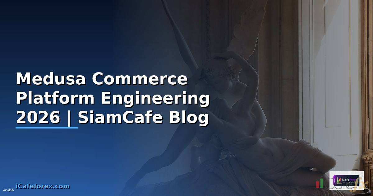 Medusa Commerce Platform Engineering