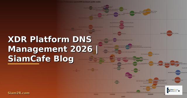 XDR Platform DNS Management