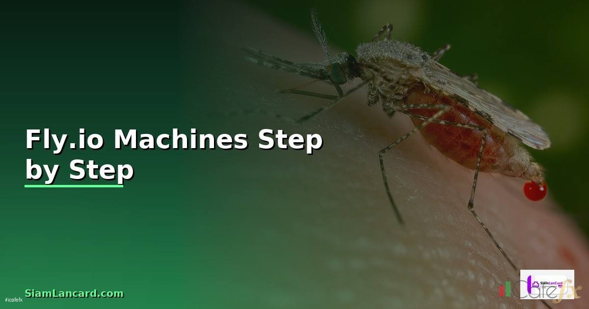 Fly.io Machines สำหรับมือใหม่ Step by Step —
