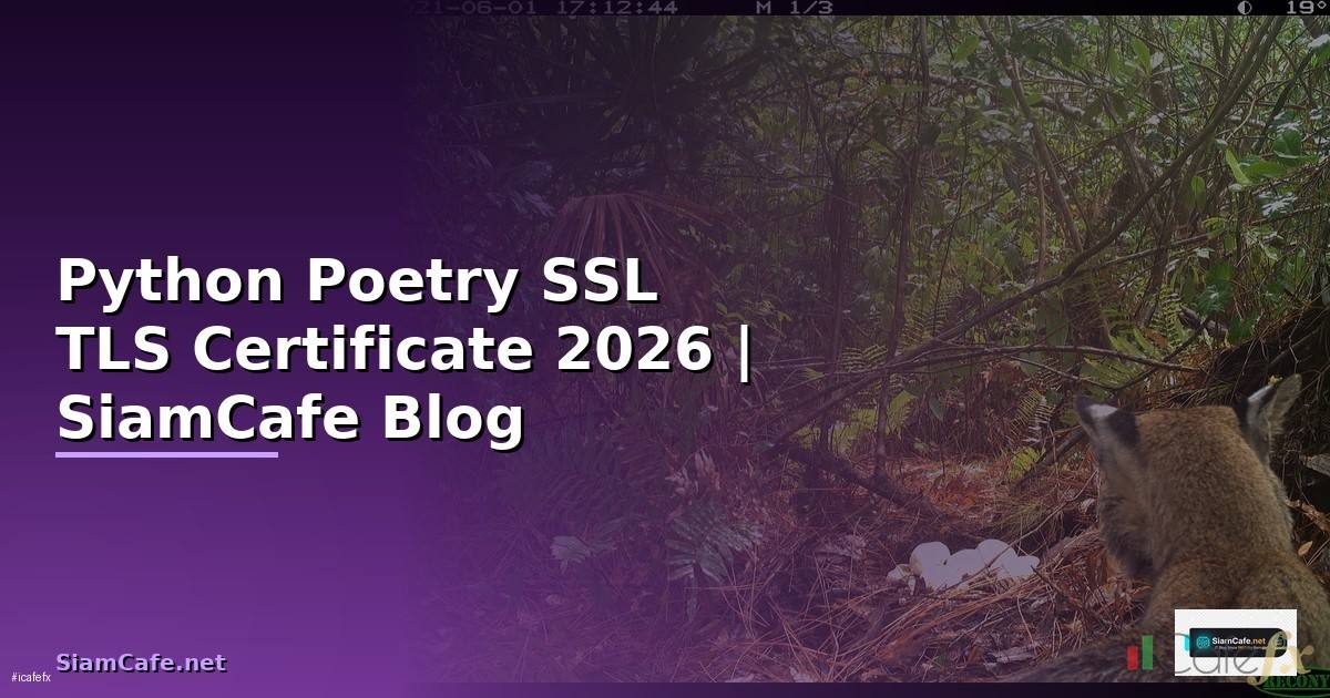 Python Poetry SSL TLS Certificate