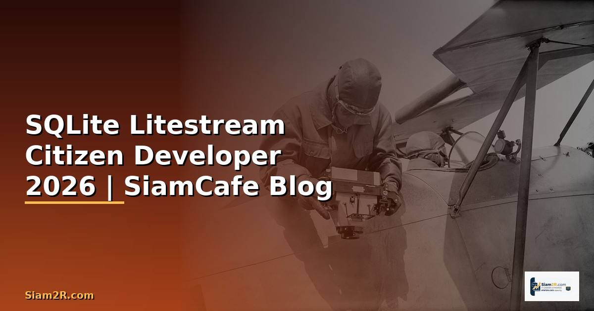 SQLite Litestream Citizen Developer