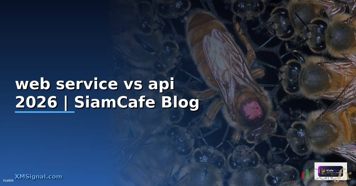 web service vs api คือ