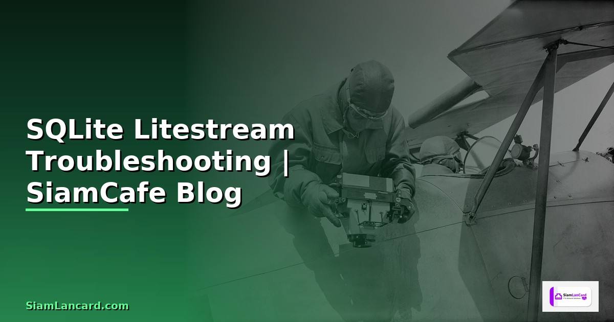SQLite Litestream Troubleshooting แก้ปัญหา