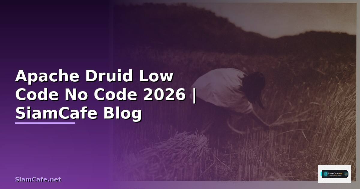 Apache Druid Low Code No Code