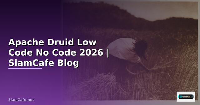 Apache Druid Low Code No Code
