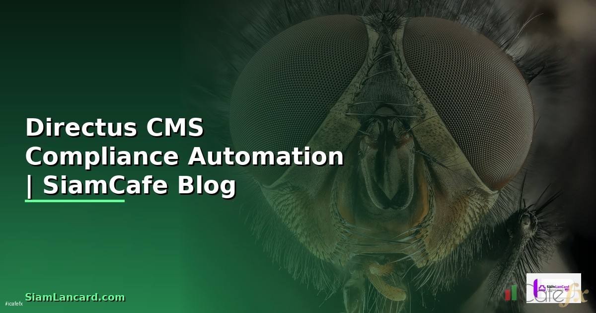 Directus CMS Compliance Automation