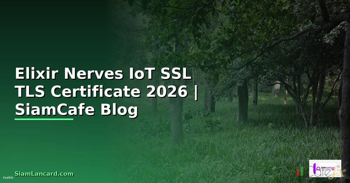 Elixir Nerves IoT SSL TLS Certificate