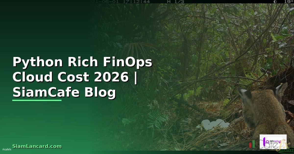 Python Rich FinOps Cloud Cost