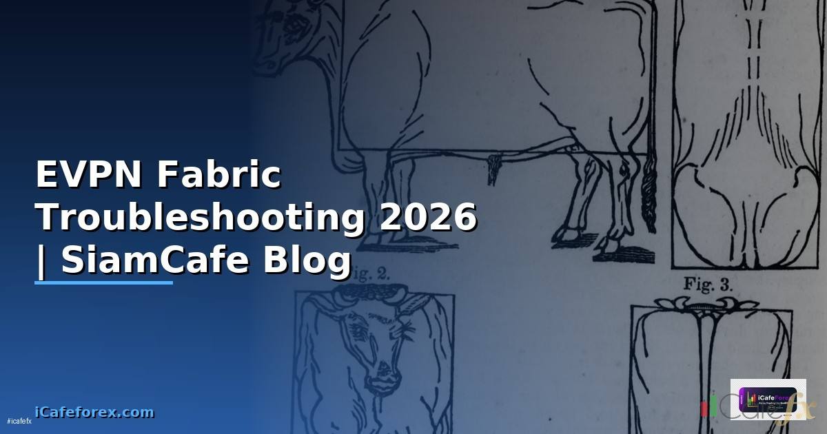 EVPN Fabric Troubleshooting แก้ปัญหา