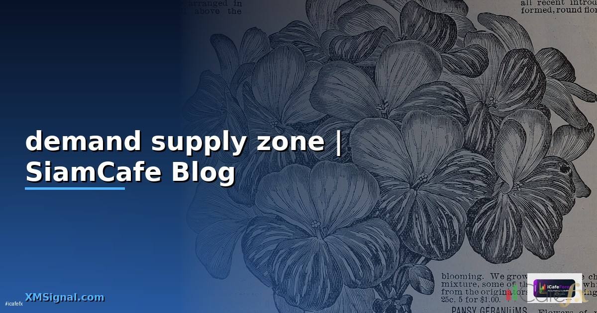 demand supply zone — ข้อมูลครบถ้วน 2026