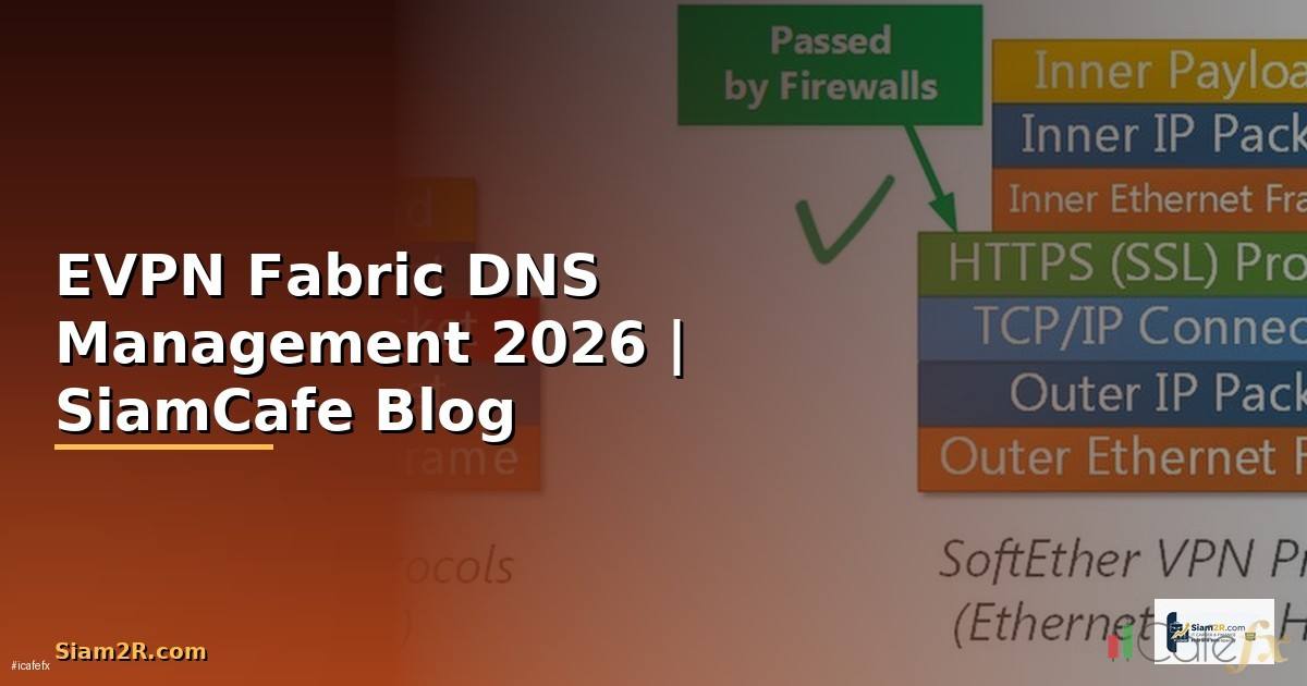 EVPN Fabric DNS Management — คู่มือฉบับสมบูรณ์ 2026
