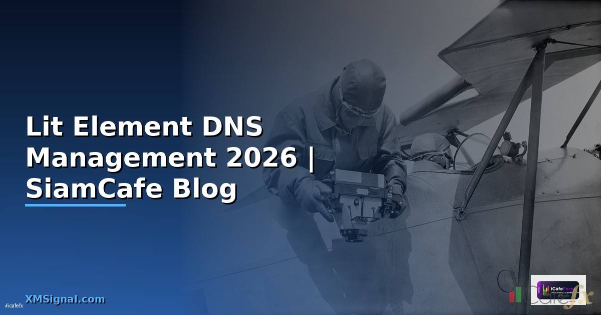 Lit Element DNS Management