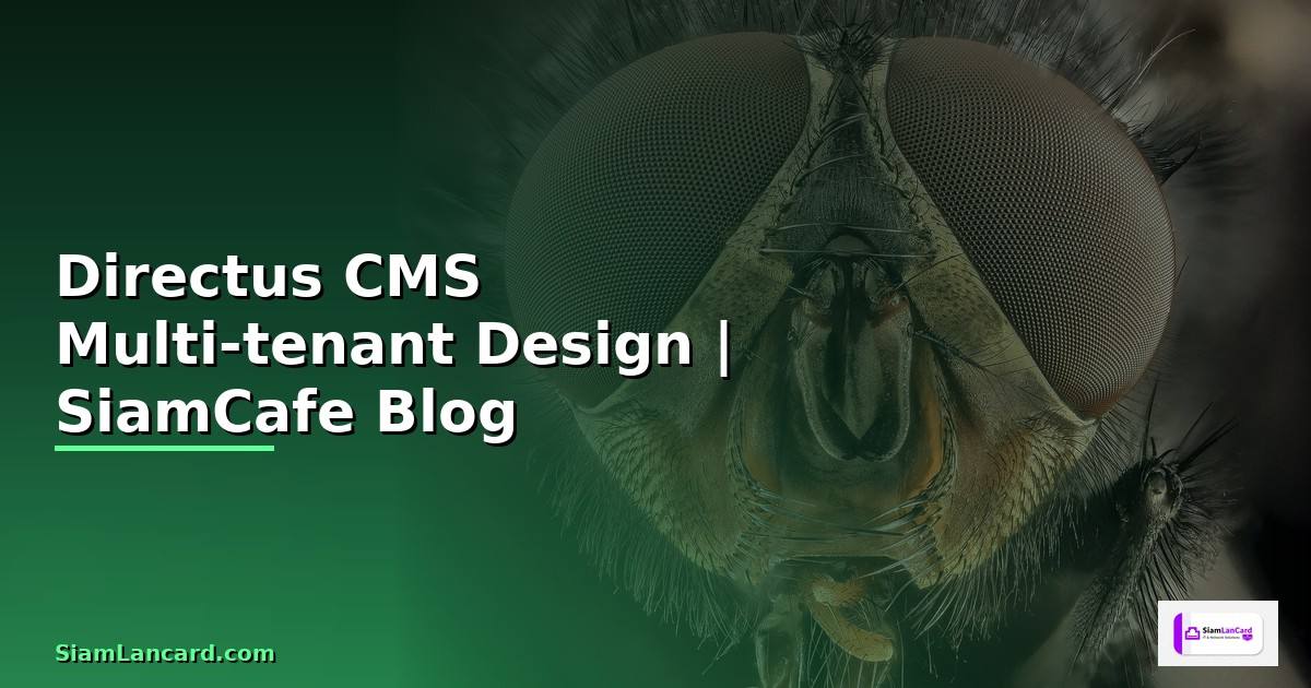 Directus CMS Multi-tenant Design