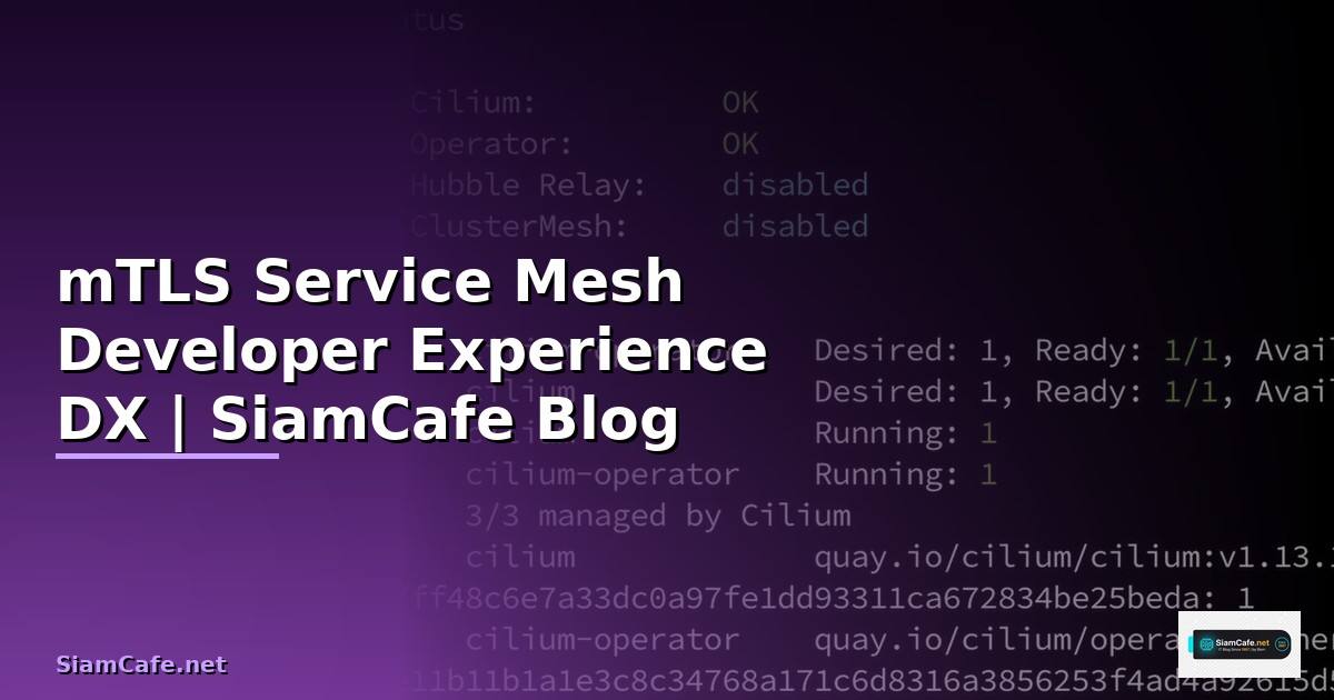 mTLS Service Mesh Developer Experience DX