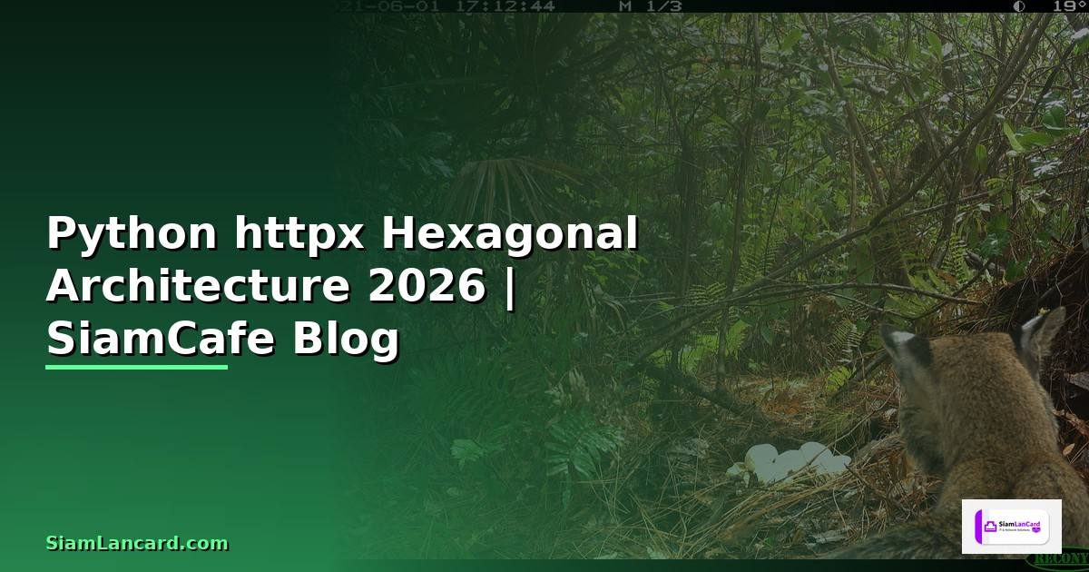 Python httpx Hexagonal Architecture