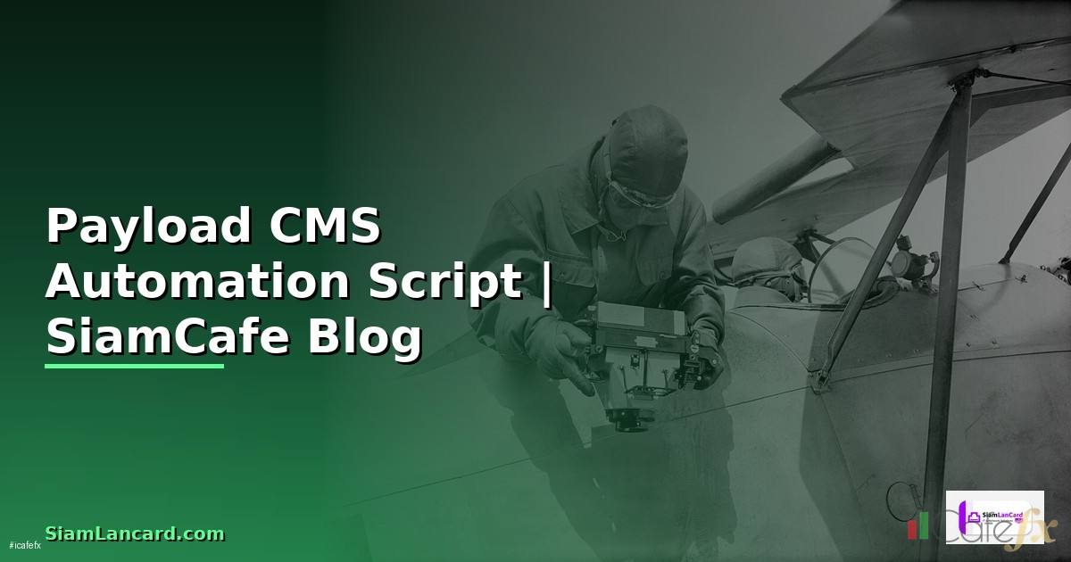 Payload CMS Automation Script