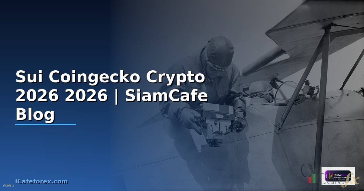 Sui Coingecko — คู่มือ Crypto ฉบับสมบูรณ์ 2026