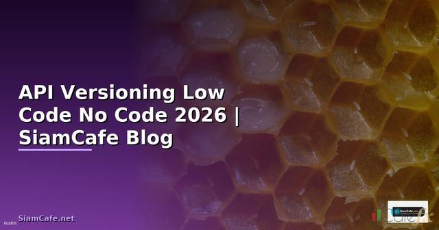 API Versioning Low Code No Code