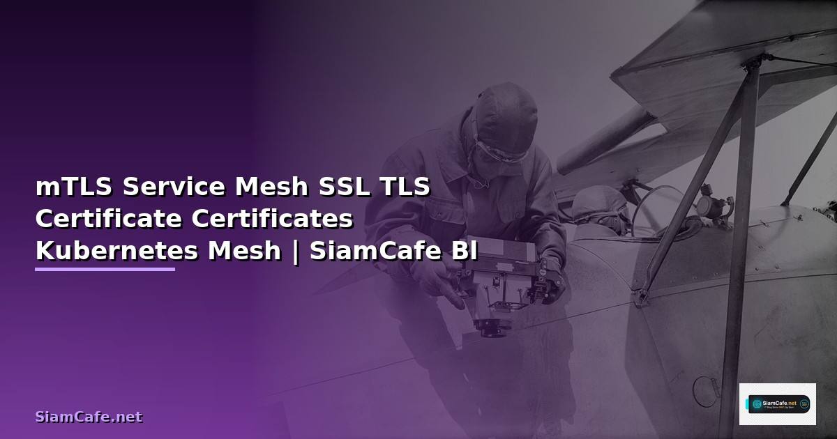mTLS Service Mesh SSL TLS Certificate จัดการ Certificates ใน Kubernetes Mesh