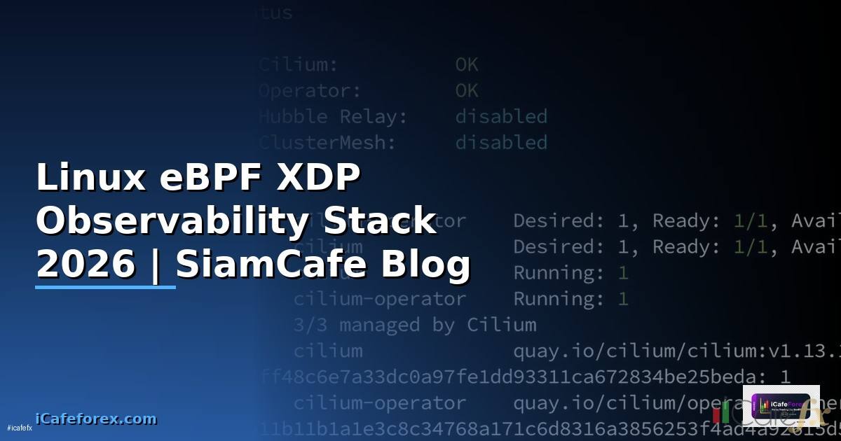 Linux eBPF XDP Observability Stack
