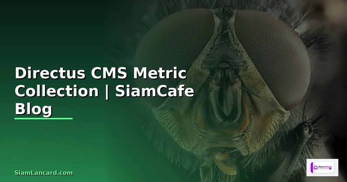 Directus CMS Metric Collection
