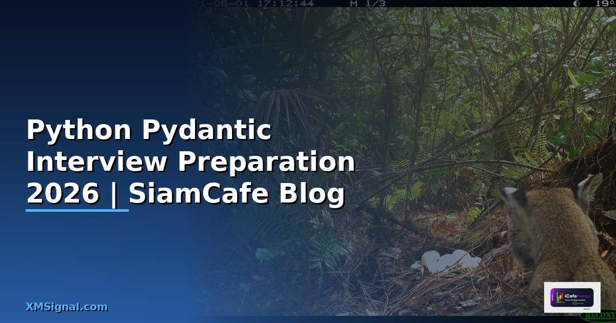 Python Pydantic Interview Preparation