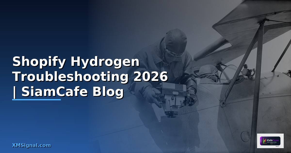 Shopify Hydrogen Troubleshooting แก้ปัญหา