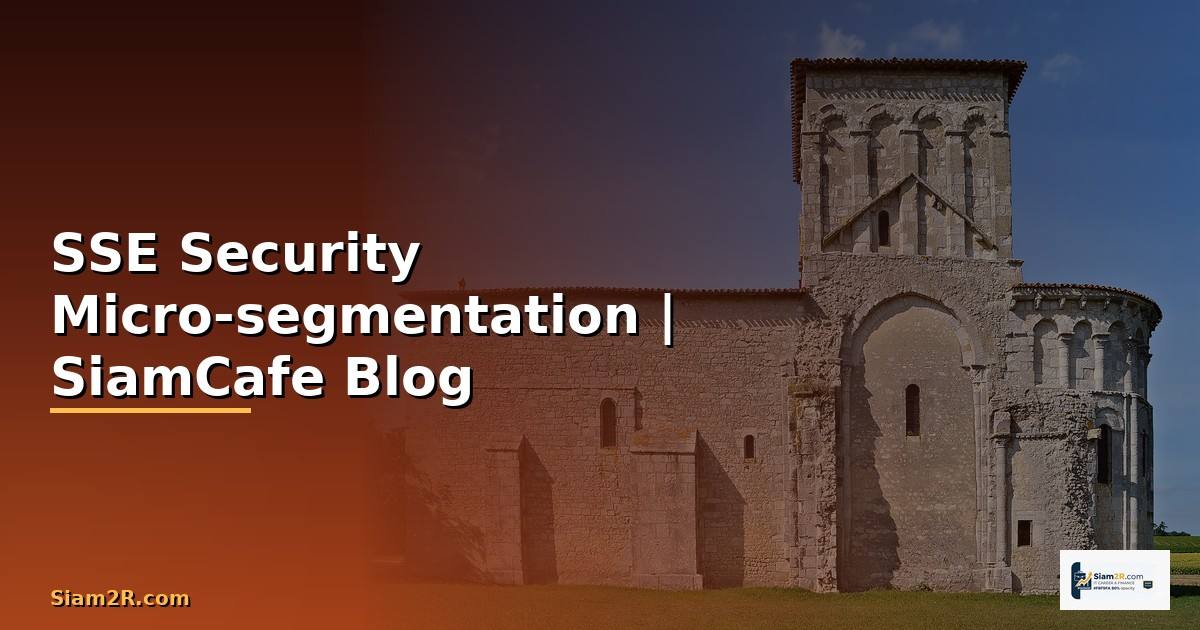 SSE Security Micro-segmentation