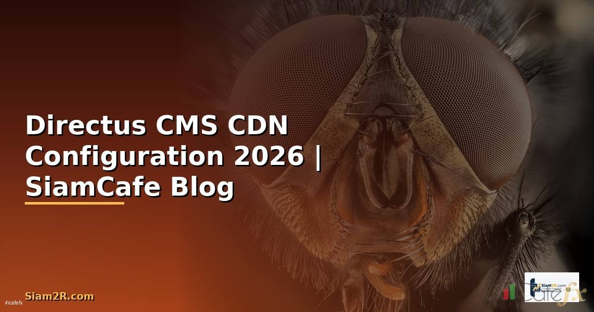 Directus CMS CDN Configuration