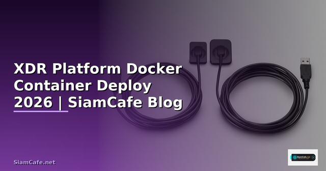 XDR Platform Docker Container Deploy