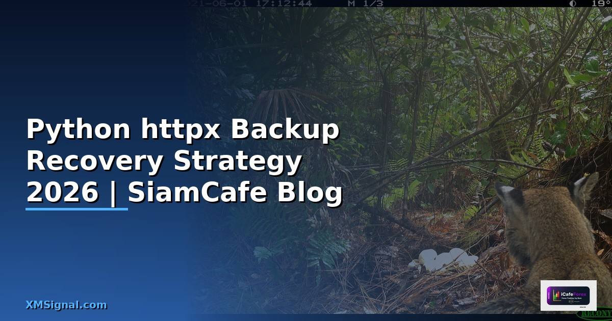 Python httpx Backup Recovery Strategy