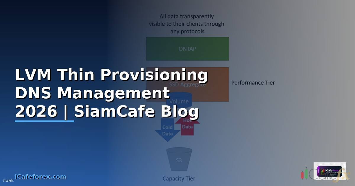 LVM Thin Provisioning DNS Management