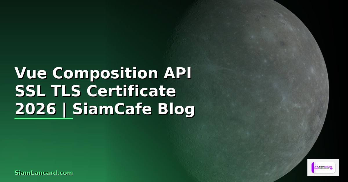 Vue Composition API SSL TLS Certificate