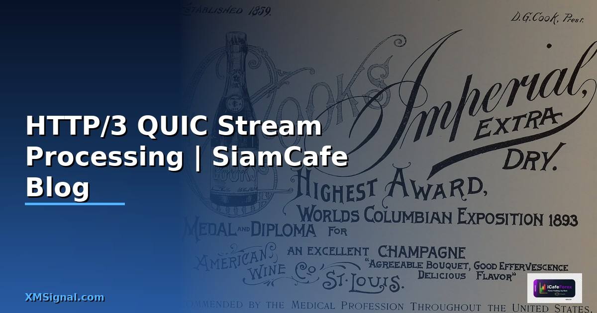 HTTP/3 QUIC Stream Processing