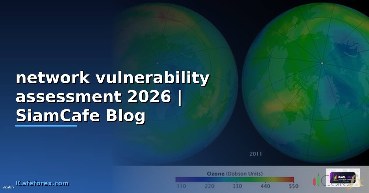 network vulnerability assessment คือ