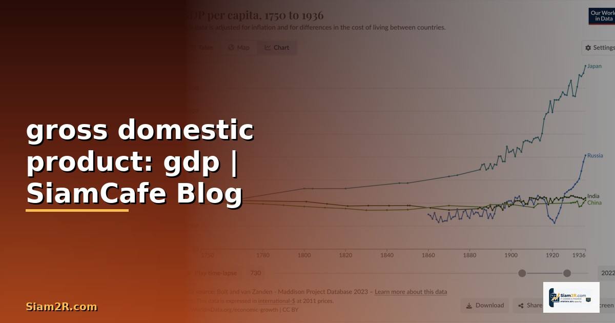gross domestic product: gdp คือ