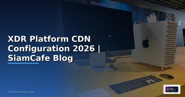 XDR Platform CDN Configuration