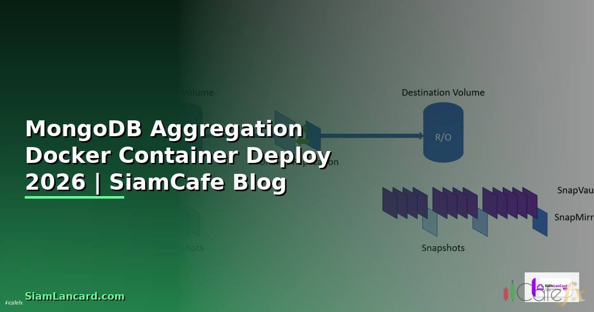 MongoDB Aggregation Docker Container Deploy