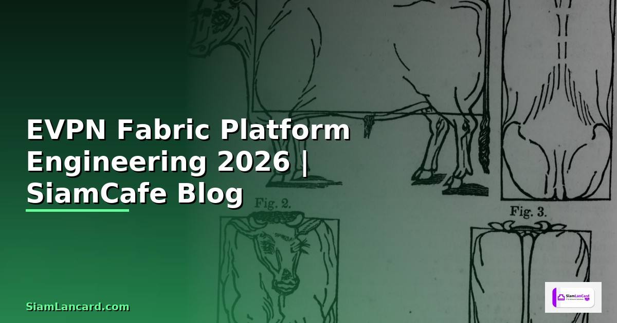 EVPN Fabric Platform Engineering