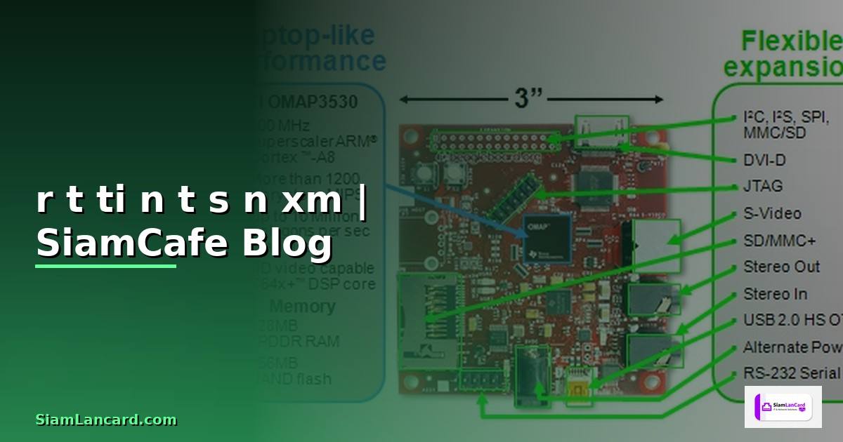 rút tiền từ sàn xm — ข้อมูลครบถ้วน 2026