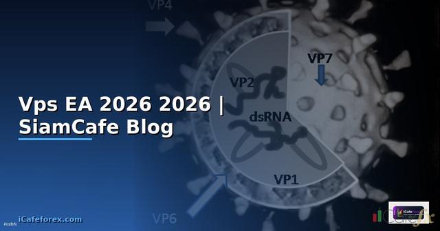 ฟร Vps รน EA — คู่มือฉบับสมบูรณ์ 2026