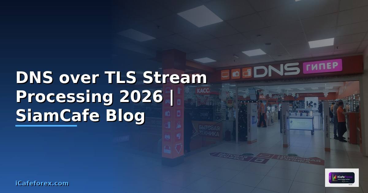 DNS over TLS Stream Processing